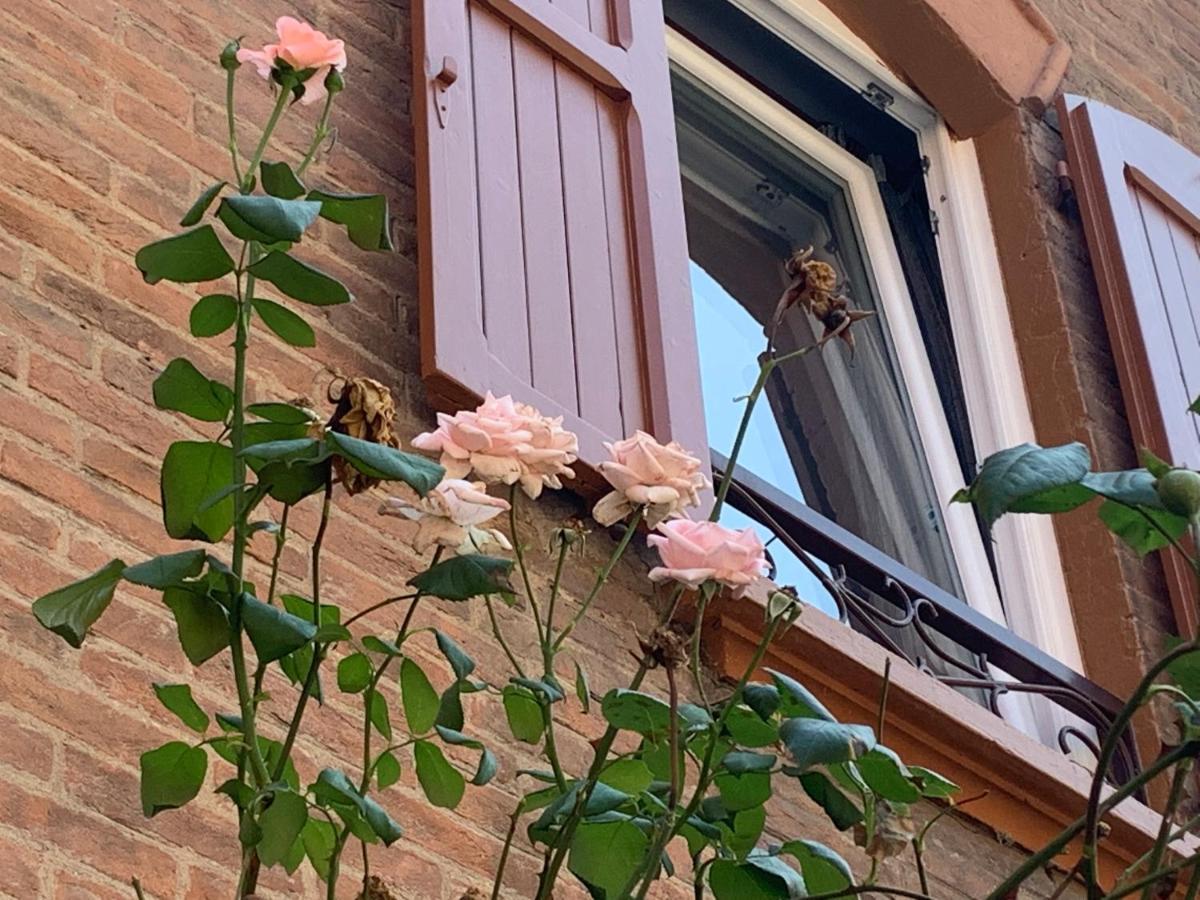 Casina Delle Rose Apartment Bologna Bagian luar foto